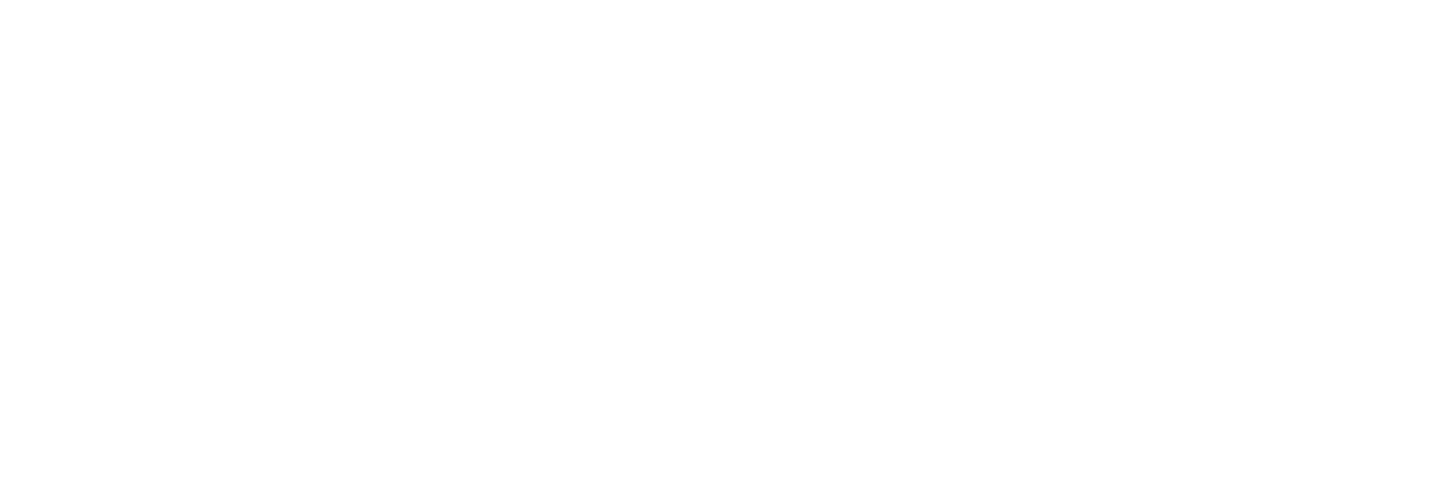 Secured Finance Network